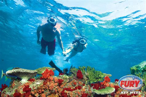 fury key west snorkeling